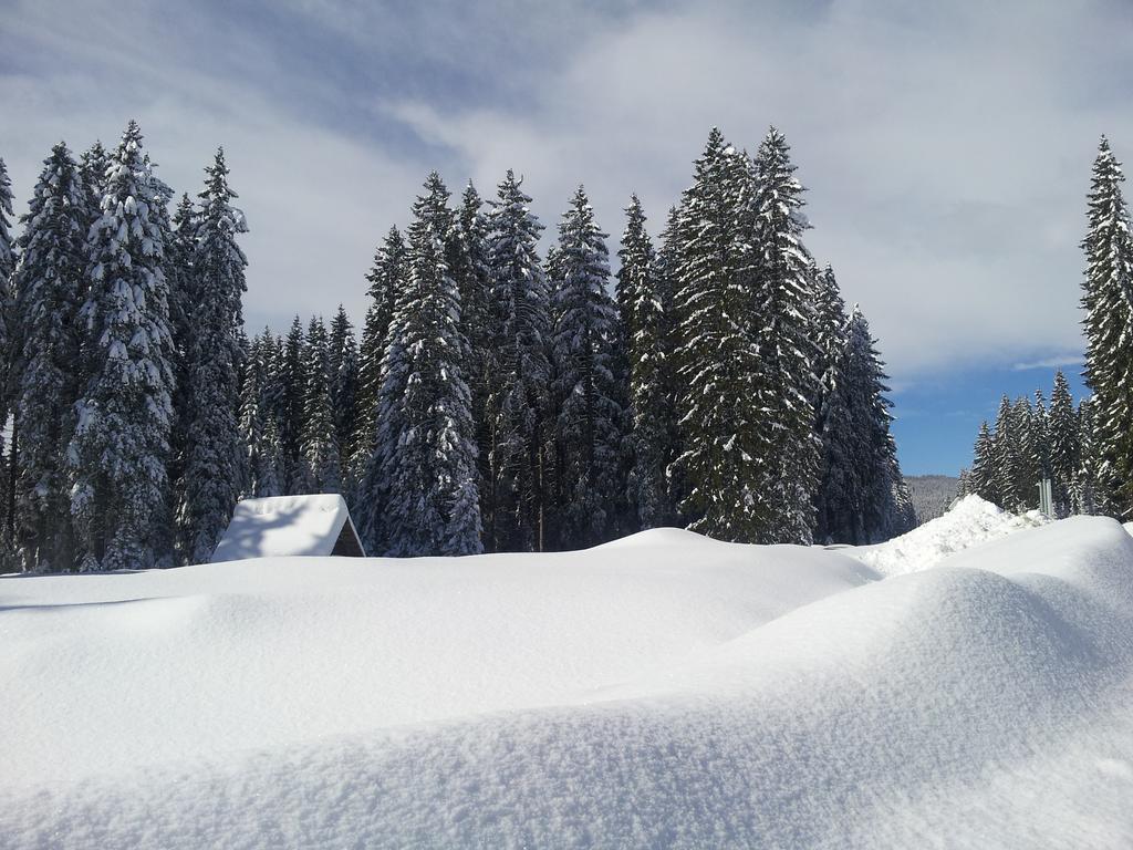 Hotel Jelka Pokljuka Горелєк Екстер'єр фото