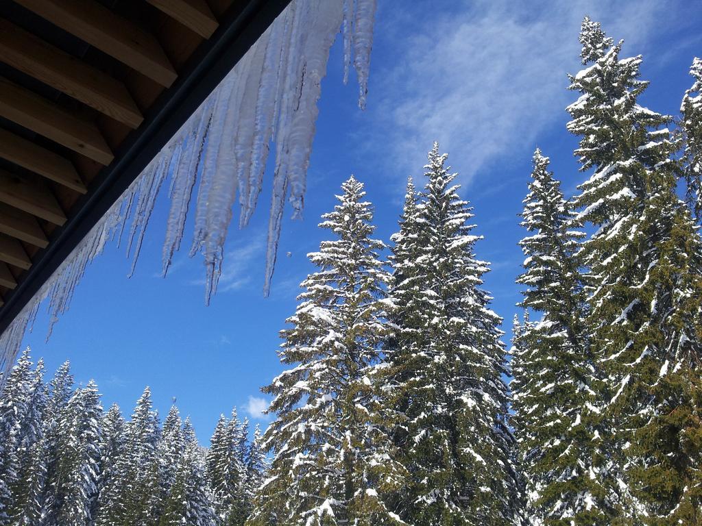 Hotel Jelka Pokljuka Горелєк Екстер'єр фото