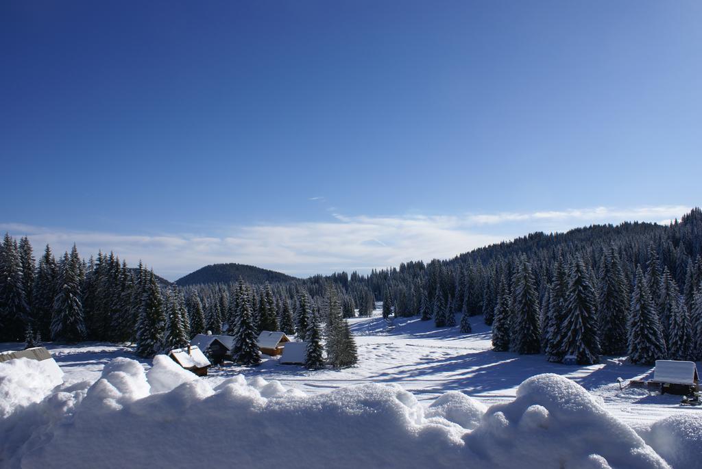 Hotel Jelka Pokljuka Горелєк Екстер'єр фото
